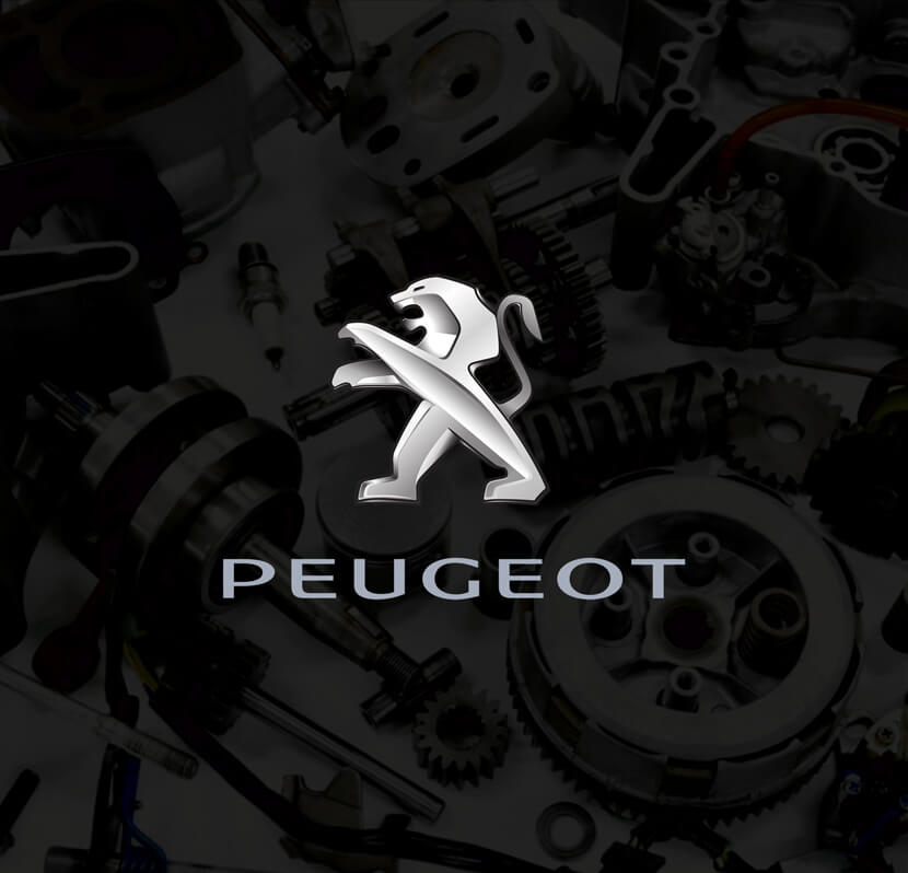 Peugeot parts catalogs on PartSouq